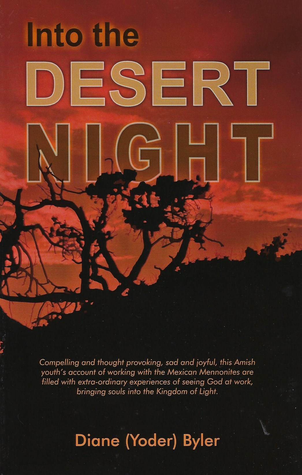 INTO THE DESERT NIGHT Diane (Yoder) Byler
